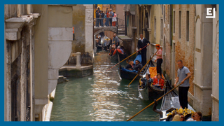 Venice's Historic Canals Have Transformed During Italy's Lockdown